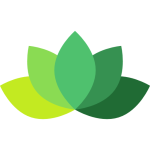 Health & Wellness
